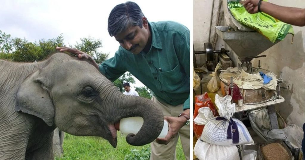 It’s Almost Time: What Do a Solar Mill, an Elephant Corridor & a Village Revolution Have in Common? Find Out at TBI Showcase 2025