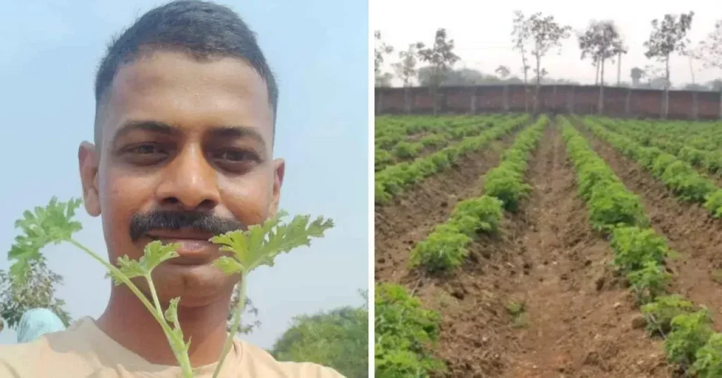 Meet the Ex-Engineer Making Rs 12 Lakh/Year With Geranium & Teaching Farmers To Grow ‘Poor Man’s Rose’