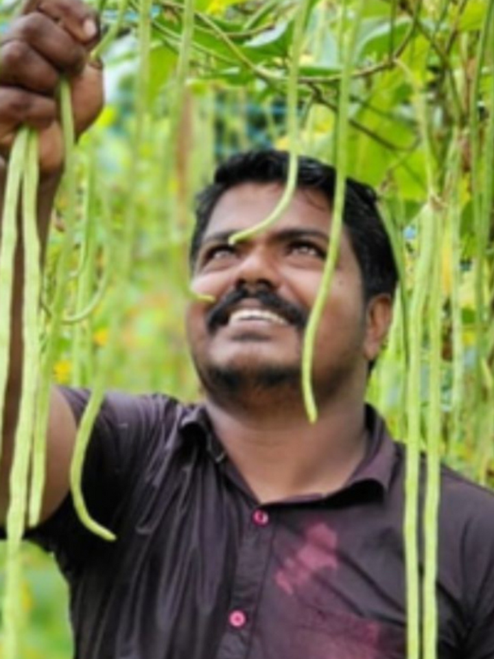 Inside the Kerala Village Where Every Farmer Is a Crorepati Thanks to Collective Farming