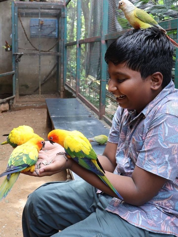 10 Ways to Turn Family Time Into Wildlife Conservation Adventures in India