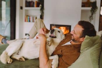 Cute but risky: This habit with your dog could harm your health