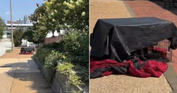 Shelter Worker Finds Abandoned Crate in Scorching Heat and Can’t Believe What’s Inside