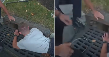 Frightened Dog’s Cries from Storm Drain Lead Officers to Dramatic Rescue