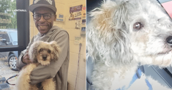Man Reunites with Lost Dog After 10-Years and Throws Heartfelt ‘Welcome Home’ Party