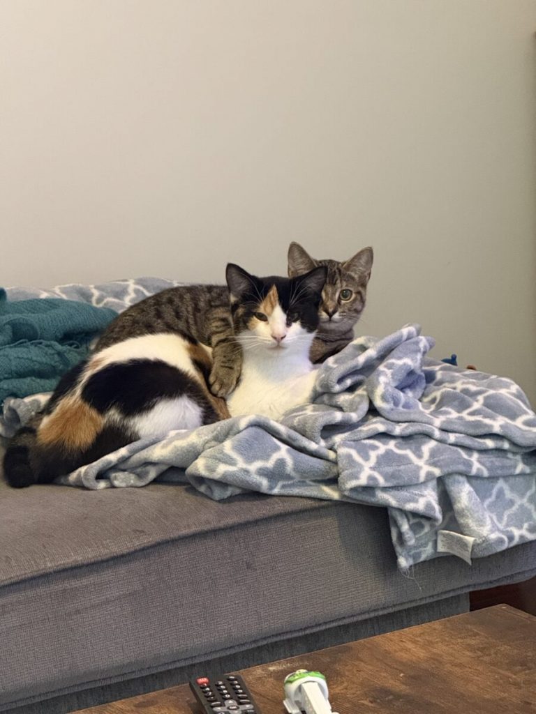 From rough start to loving home: The heartwarming journey of Frankie and Molly