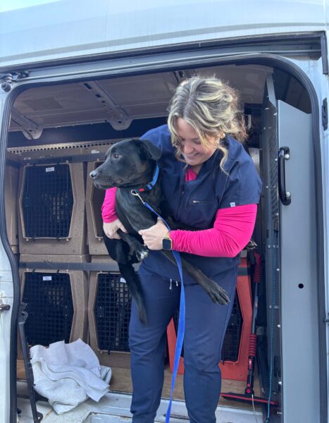 The Ontario SPCA prepares to welcome over 40 animals from Northern Ontario