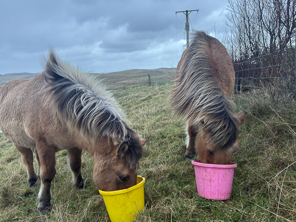 A Tad Feisty Out There!