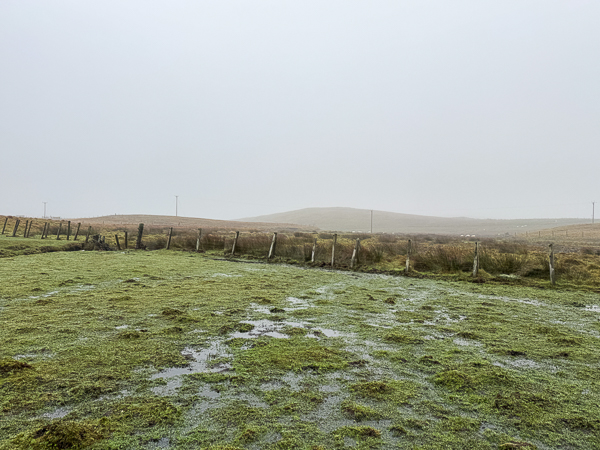 Winter or Summer Track?