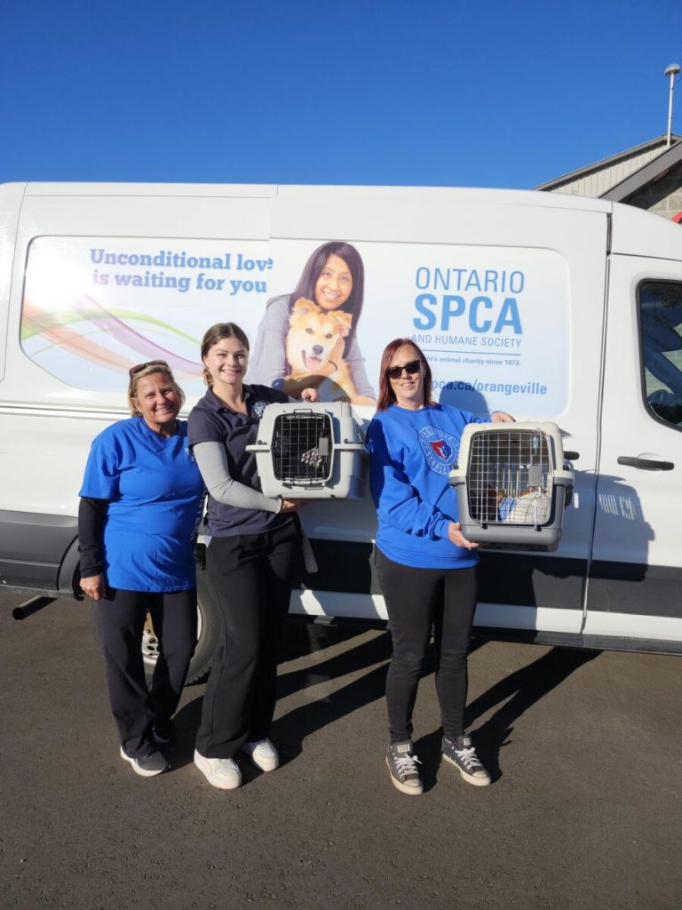 The Ontario SPCA rolls out Neuter Scooter in Dufferin County to reduce pet overpopulation
