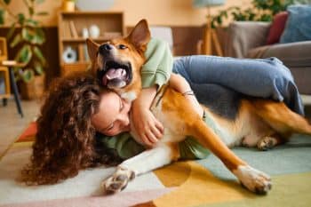 Petting your dog: 7 surprising mistakes even devoted owners still make