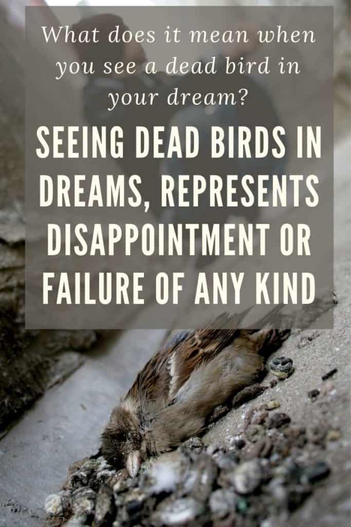Interpreting a Dream in Which a Bird Is Found Dead