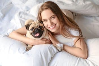 11 Cuddly Dog Breeds Made For Lazy Sunday Afternoons