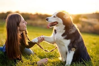 13 Rugged Dog Breeds That Thrive In Outdoor Adventuring