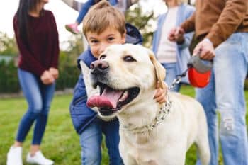 15 Dog Breeds That Complete The Family Picture