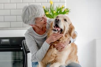 13 Loyal Dog Breeds Built For Lifetime Companionship