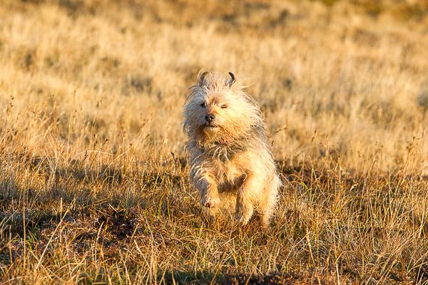 Still Fighting with the Blog