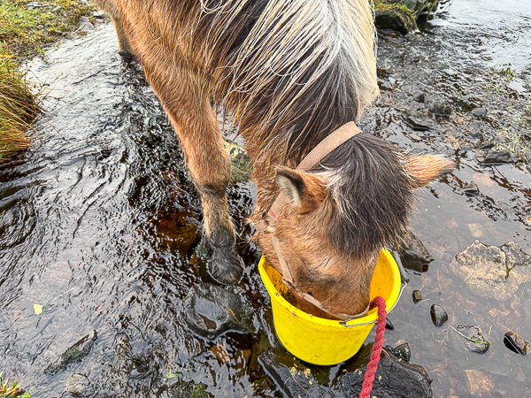 Buckets and More Buckets