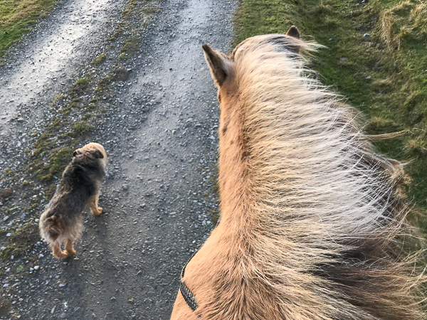 More Photos From the Past