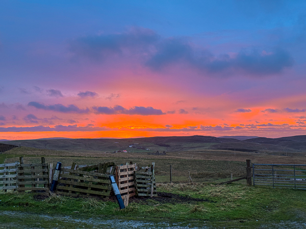 Looking Back at Rørosmartnan 2017