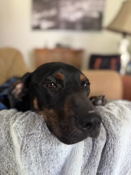 From a life of uncertainty to a future filled with affection