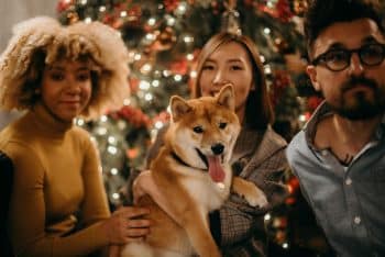 Smart Tips To Keep Dogs Safe This Holiday Season