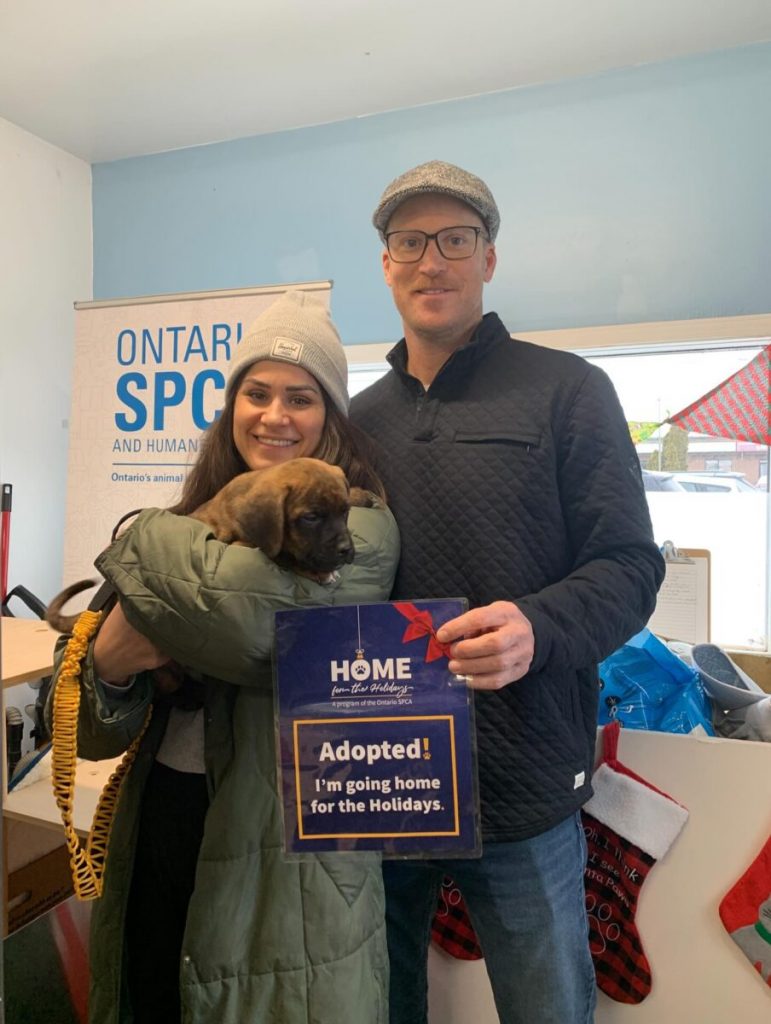 Home for the Holidays: A season of second chances