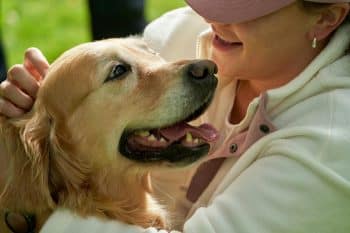 11 Loyal Dog Breeds Made For Lifetime Companionship