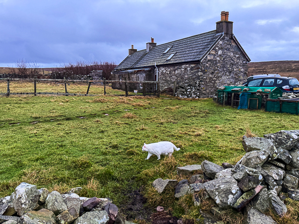 Monster on a Mission