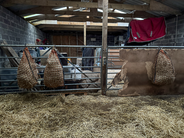 Preparations For Storm Bram