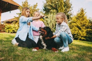 13 Big Dog Breeds That Never Outgrow Puppy Behavior