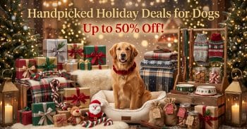 Top-Rated Amazon Dog Gifts With Big Holiday Discounts Right Now