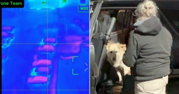 Drone Locates Dog After 20 Lonely Mile Journey