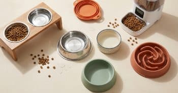Which Dog Bowl Is Best? Pros and Cons of Every Bowl Type