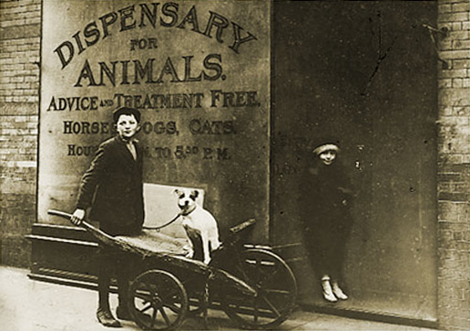 Celebrating the Year of the Horse: AMC’s Equine Stories