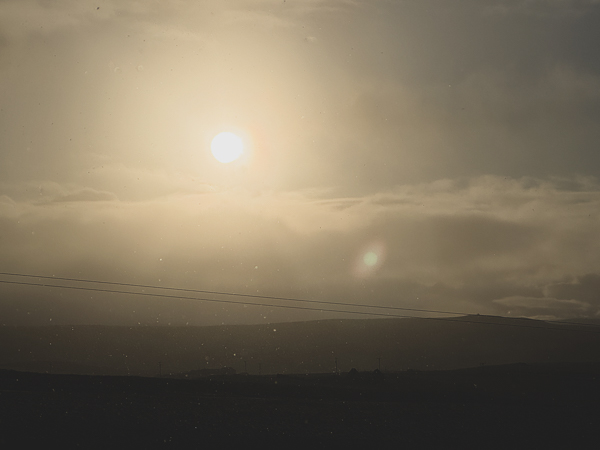 Gussie’s New Friend