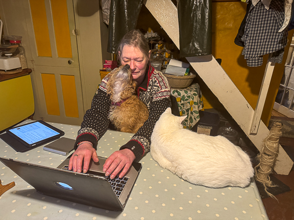 The Family Photograph