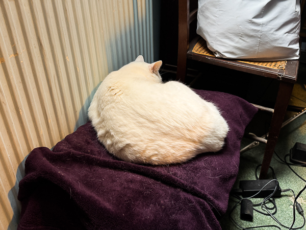 We’re Not Talking to Pepper