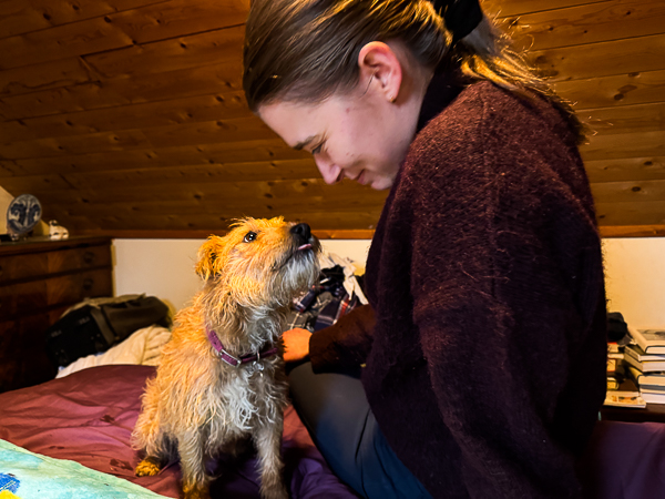 One Arrives, One About to Leave