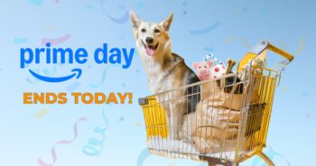 Prime Day Dog Deals Are Here! Shop Now!
