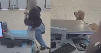 Woman Charged After Abandoning Dog at Airport and Attempting to Board Flight