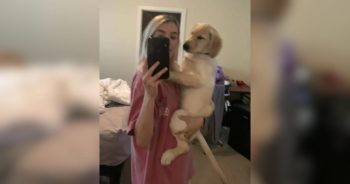 Who Else Is Melting Over This Puppy’s Little Butt?