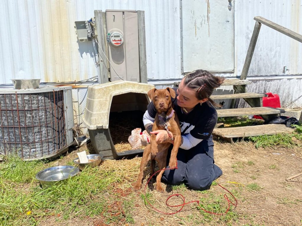 Rescued and Adoptable: Liora the Dog Brightens Even the Darkest Corners