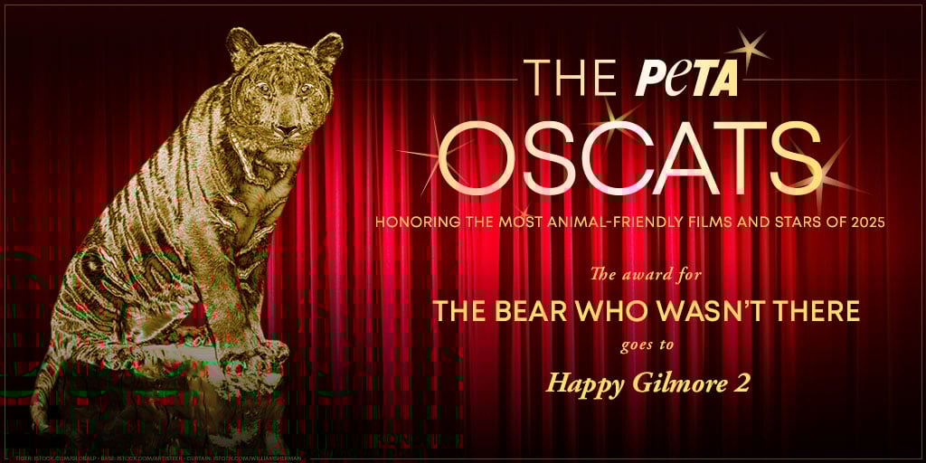 Take a ‘Meow’! Find Out Which Animal-Friendly Stars and Films Took Home an ‘Oscat’ From PETA