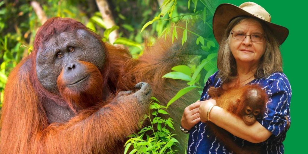Remembering the Legacy of Orangutan Expert and Defender, Dr. Biruté Galdikas