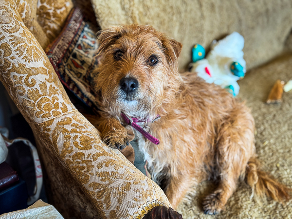 What a Difference a Day Makes