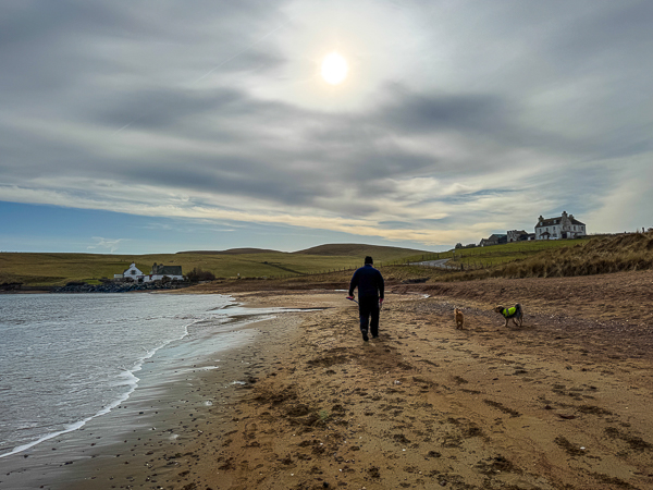 A Dog Walk on the Beach