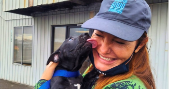 Celebrating 20 Years Of Greater Good Charities & Its Life-Saving Partnership With iHeartDogs