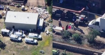 Nearly 300 Dogs And Cats Saved In One Of The Largest Animal Rescues In U.S. History