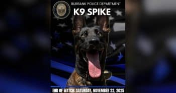 Department Honors K9 Spike After He Gave His Life in the Line of Duty