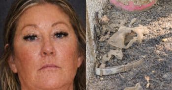 Shocking Video Of Dog’s Killing Uncovers Abuse — Leads To Rescue Of Over 100 German Shepherds